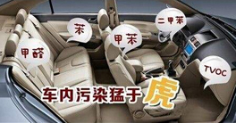 車內(nèi)甲醛正常值以及車內(nèi)放什么東西可以除甲醛？